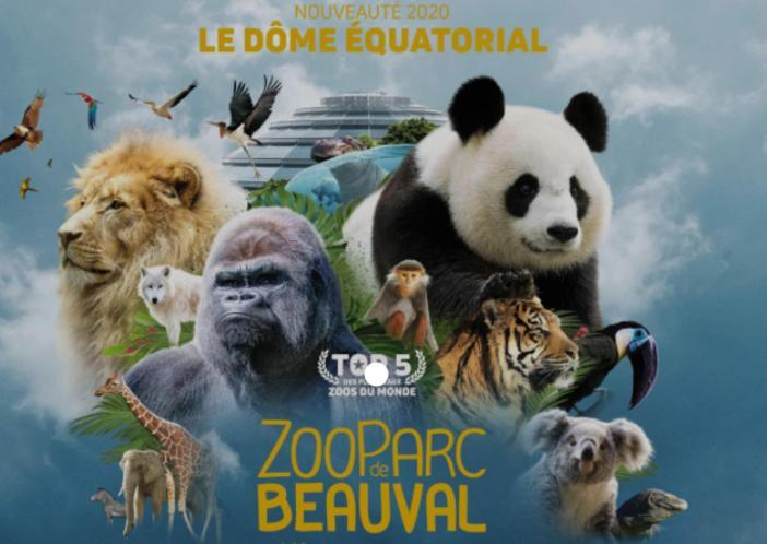 Chambre Jungle Dans Maison D'Hote "Le Petit Clouet"- 罗什科尔邦 外观 照片